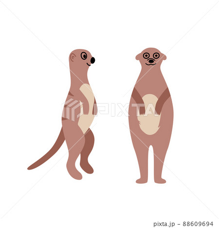 Two Standing Meerkats Cute Cartoon Meerkat のイラスト素材