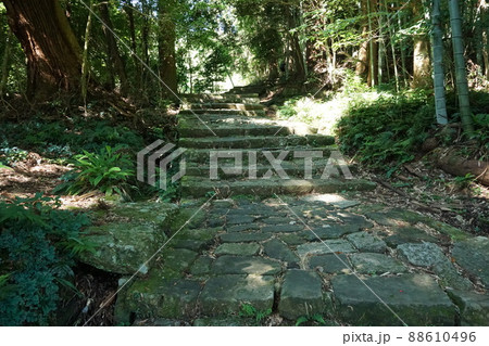 夏の朝の大門坂4 夏の朝の大門坂4 88610496