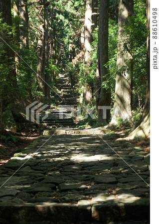 夏の朝の大門坂6 88610498