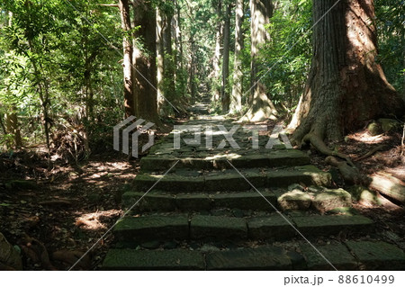 夏の朝の大門坂7 88610499