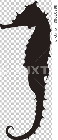 タツノオトシゴのイラスト素材 6109