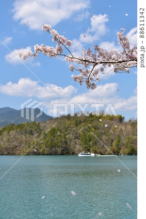 恵那峡の桜 岐阜 恵那峡の桜 岐阜 88611342