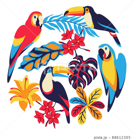 Card with macaw parrot, toucan and tropical plants. Exotic decorative birds, flowers anf leaves. Card with macaw parrot, toucan and tropical plants. Exotic decorative birds, flowers anf leaves. 88612305