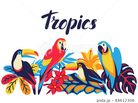 Card with macaw parrot, toucan and tropical plants. Exotic decorative birds, flowers anf leaves. 88612306