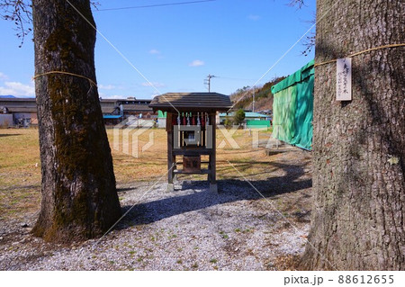 椋神社 下吉田椋神社 夫婦クヌギの木 両神神社 椋神社 下吉田椋神社 夫婦クヌギの木 両神神社 88612655