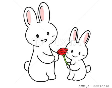 母にカーネーション_花を感謝の気持ちを込めて贈る 88612718