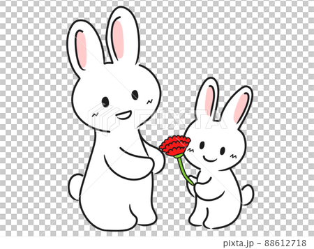 母にカーネーション_花を感謝の気持ちを込めて贈る 88612718