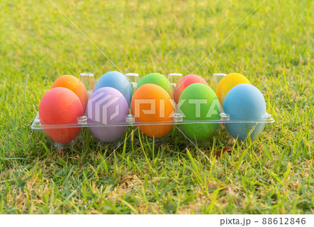Colorful easter eggs on natural green grass background. Food decoration on holiday. 88612846