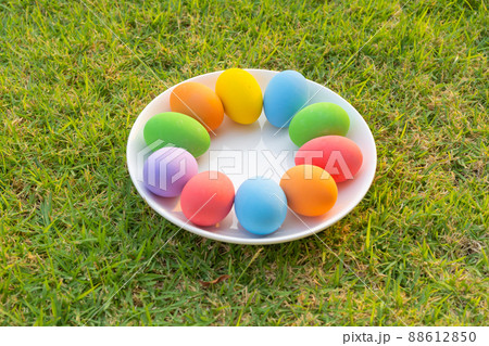 Colorful easter eggs on natural green grass background. Food decoration on holiday. Colorful easter eggs on natural green grass background. Food decoration on holiday. 88612850