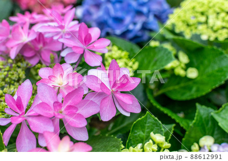 植物 工場 プランツ 88612991