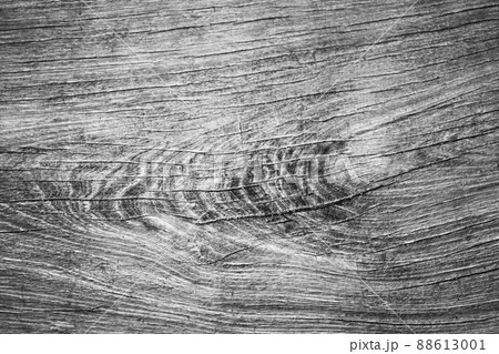old white bright wooden texture, wood background panorama,gray. wood texture with natural feel design figure. old white bright wooden texture, wood background panorama,gray. wood texture with natural feel design figure. 88613001