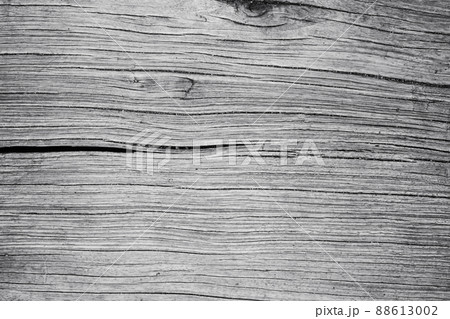 old white bright wooden texture, wood background panorama,gray. wood texture with natural feel design figure. old white bright wooden texture, wood background panorama,gray. wood texture with natural feel design figure. 88613002
