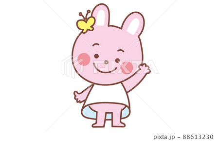 ポーズをとるうさぎちゃん 88613230
