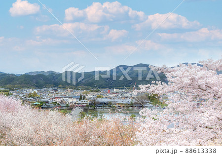 京都 桜咲く法輪寺の展望台から臨む嵐山と嵯峨野方面の風景 京都 桜咲く法輪寺の展望台から臨む嵐山と嵯峨野方面の風景 88613338