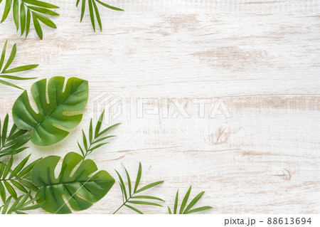 ヤシのとモンステラの夏の木目フレーム 88613694