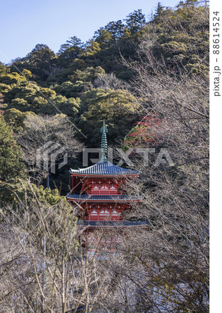 岐阜公園三重塔 88614524