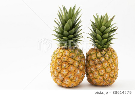 白バックのパイナップル 88614579
