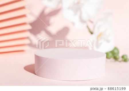 Modern packaging design, pastel color backdrop, flowers and fan. 88615199