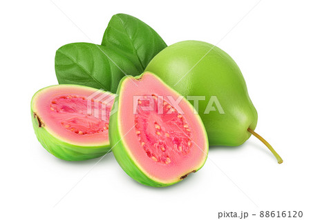 Guava fruit isolated on white background with clipping path and full depth of field Guava fruit isolated on white background with clipping path and full depth of field 88616120