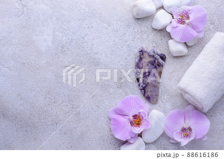 Spa concept. Natural beauty cosmetics Spa concept. Natural beauty cosmetics 88616186