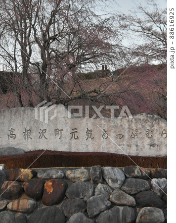 栃木県塩谷郡高根沢町　元気あっぷ村 88616925