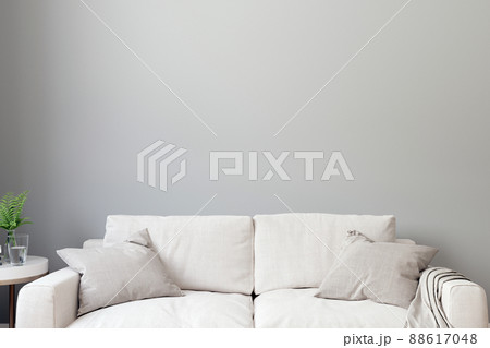 Modern living room interior background, Scandinavian style, 3D illustration. Living room mockup 88617048