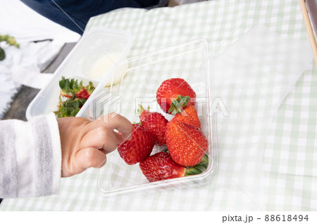 いちごを食べる子供の手 いちごを食べる子供の手 88618494