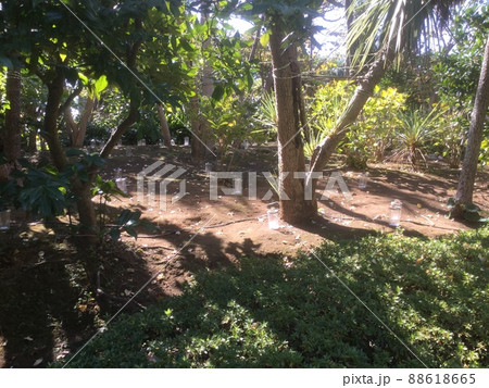 鎌倉&江ノ島探索 2021年版 11月5日の画像です。晴天に恵まれ富士山も絶景です。 鎌倉&江ノ島探索 2021年版 11月5日の画像です。晴天に恵まれ富士山も絶景です。 88618665