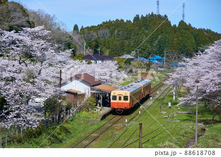 桜咲く駅舎とレトロ列車の俯瞰　小湊鉄道　月崎駅 88618708