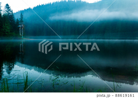 Beautiful nature and a wonderful landscape with lush green forests and vegetation around the pearl of the Carpathians - Lake Synevyr. Carpathians in Ukraine. Mystical fog over the great firs.  88619161