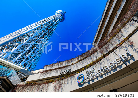 東京　墨田区　東京スカイツリーとソラマチ 88619201