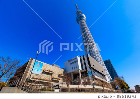 東京　墨田区　東京スカイツリー 88619243