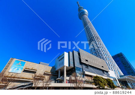 東京　墨田区　東京スカイツリー 88619244