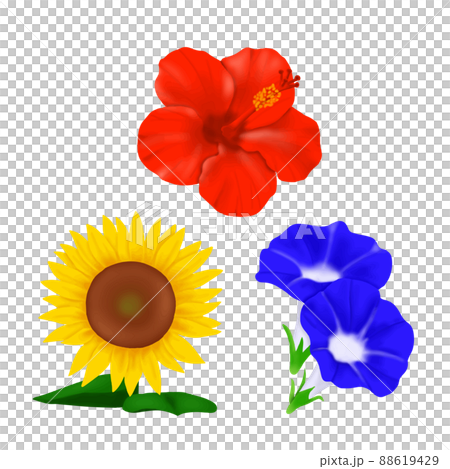 夏の花　3種　三原色 88619429
