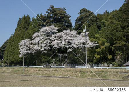 山郷神社（やまさとじんじゃ）（倉吉市関金） 88620588