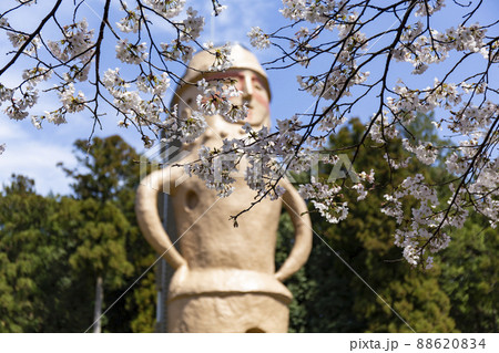 春のくれふしの里公園とはに丸タワー 春のくれふしの里公園とはに丸タワー 88620834