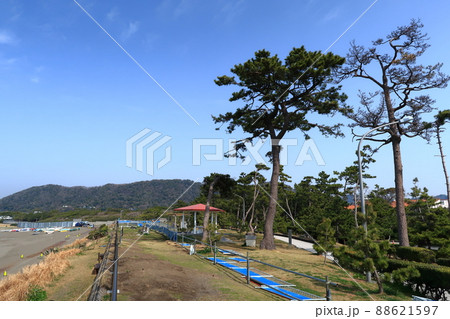葉山公園の景観 葉山公園の景観 88621597