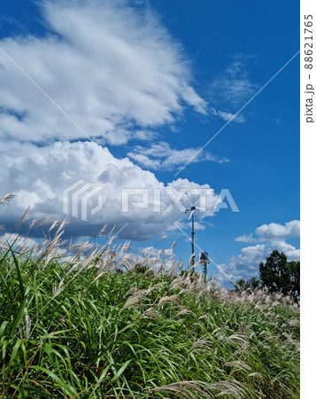 空 雲 昼 88621765