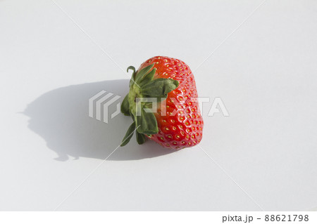 イチゴ フルーツ 果物 88621798