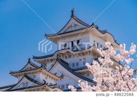 兵庫県 世界遺産 姫路城 天守閣 満開の桜の写真素材 62