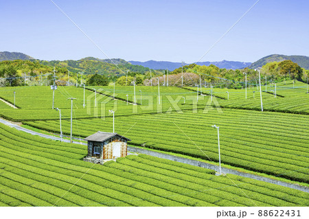 福岡県を代表するお茶の産地　美しい八女中央大茶園 88622431