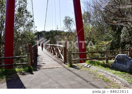群馬県高崎市 観音山ひびき橋と青空(染料植物園方向) 群馬県高崎市 観音山ひびき橋と青空(染料植物園方向) 88622611