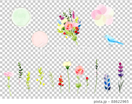 一套漂亮的花材和透明水彩畫的框架 一套漂亮的花材和透明水彩畫的框架 88622965