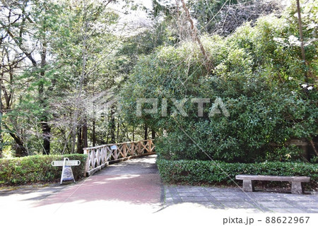 群馬県高崎市 観音山ひびき橋付近の木道散策路入口と新緑(染料植物園方向) 群馬県高崎市 観音山ひびき橋付近の木道散策路入口と新緑(染料植物園方向) 88622967