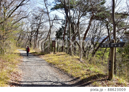 群馬県高崎市　観音山散策路（高崎自然歩道）とハイカー 88623009