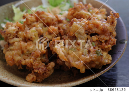 イカメンチ(アップ)青森県 イカメンチ(アップ)青森県 88623126