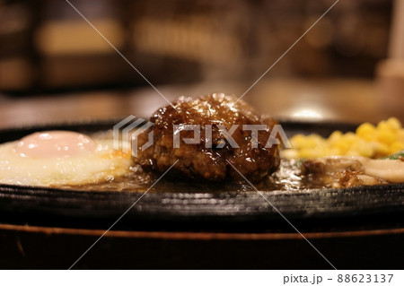 馬肉ハンバーグ（青森県十和田市） 88623137