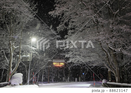冬の奥入瀬遺留を走る道路（青森県十和田市） 88623147