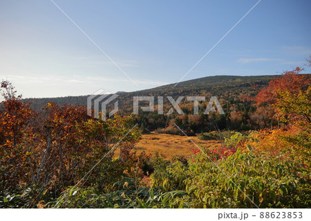 秋の八甲田草原(青森県) 秋の八甲田草原(青森県) 88623853