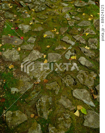 落ち葉と石畳み 落ち葉と石畳み 88624325